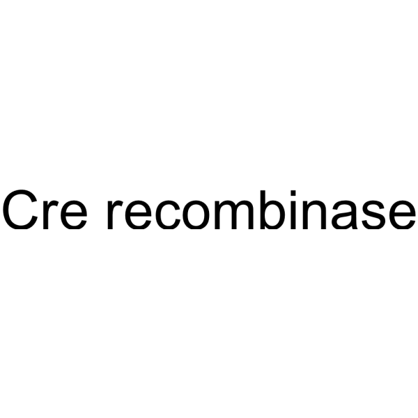 Cre recombinase 1943614-02-5